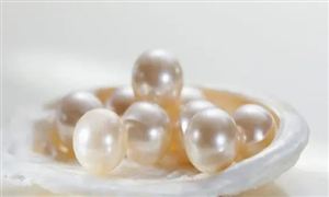 淡水珍珠市場情況分析 淡水珍珠產業現狀調研