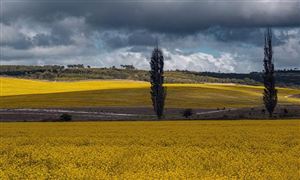 美麗鄉村建設行業分析2023