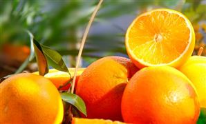 維生素行業市場需求 2023維生素行業價格走勢分析