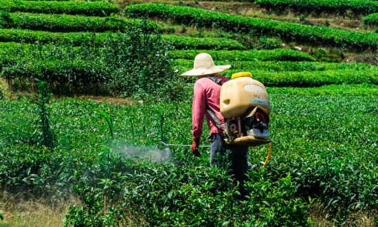 2023環保農藥行業深度分析 環保農藥市場現狀