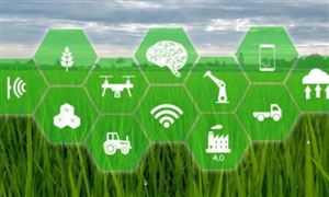 農業大數據行業行業發展規劃 農業大數據行業全景調研及發展方向