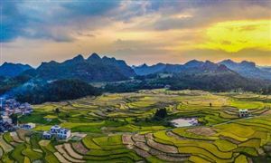 一號文件提出全面推進鄉村振興 土地政策也重要表述 鄉村振興投融資發展分析及前景報告