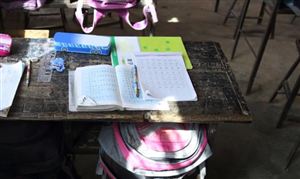 2023中國鄉村教育行業需求 鄉村教育行業發展規劃研究