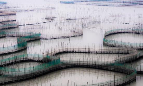 2023海洋農業行業前景及現狀分析報告