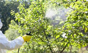 草甘膦行業市場驅動因素 草甘膦行業投資前景