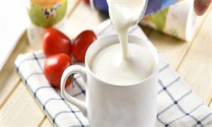 乳鐵蛋白行業(yè)市場多大?乳鐵蛋白市場深度調(diào)研及發(fā)展前景分析