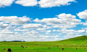 牧草飼料行業市場需求 2023牧草飼料產業經營模式分析