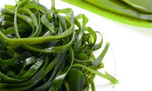 海鮮市場供需兩旺 海鮮市場深度分析調研2023