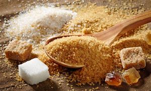 低聚糖行業市場應用前景 低聚糖行業投資價值