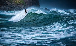 水上運動行業市場前景分析調研