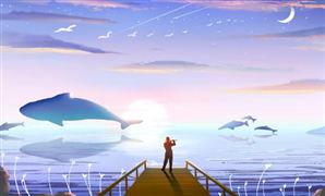 國產動畫行業市場競爭格局及行業發展現狀調研