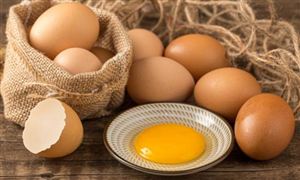 2023雞蛋市場供需格局預測分析