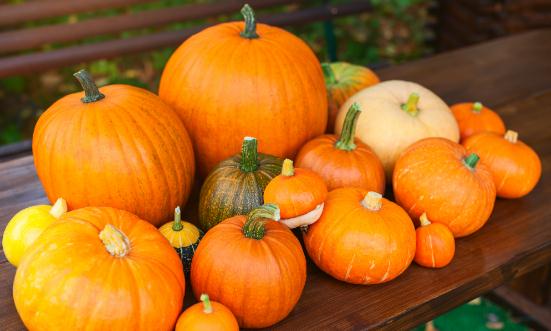 南瓜行業市場現狀及行業發展分析