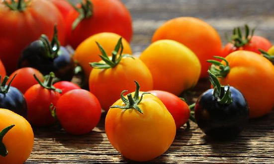 番茄紅素行業市場調研與投資潛力研究報告2023