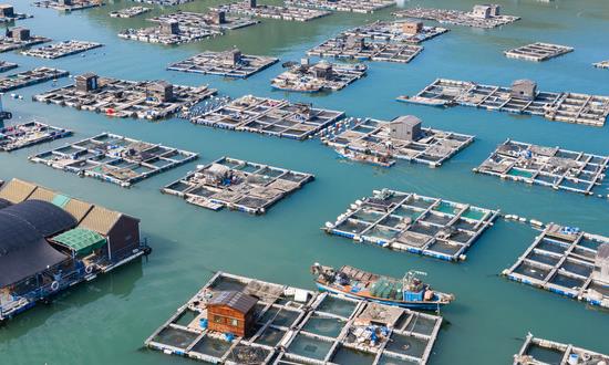 生鮮O2O行業分析報告2023生鮮O2O市場前瞻預測