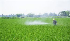 無毒生物農(nóng)藥市場分析報告