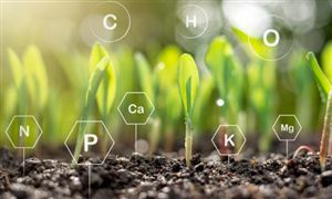 生態農業行業發展現狀深度分析報告2023