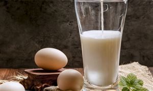 蛋白質行業深度分析及發展預測