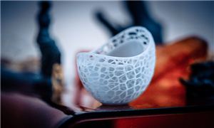 20233D打印機(jī)行業(yè)發(fā)展趨勢及市場現(xiàn)狀分析