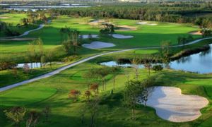 2023城市園林綠化行業(yè)發(fā)展趨勢(shì)及前景預(yù)測(cè)