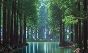 各地區(qū)持續(xù)推進生態(tài)保護修復 生態(tài)修復行業(yè)市場發(fā)展戰(zhàn)略