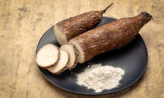 2023中國木薯行業市場現狀深度調研