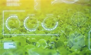 農(nóng)業(yè)信息化行業(yè)深度分析及前景研究報(bào)告