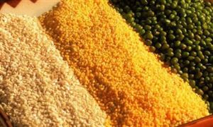 有機雜糧行業市場發展機遇 有機雜糧行業發展前景投資分析2023