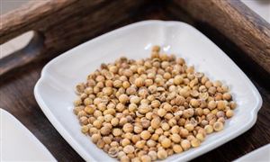 2023中藥配方顆粒行業(yè)供需分析及發(fā)展前景分析