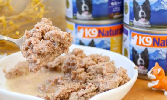 寵物罐頭行業發展方向 寵物罐頭行業發展現狀前景分析2023