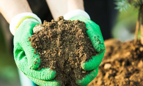 蔬菜育苗投資潛力 2023蔬菜育苗行業區域市場分析