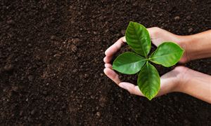 復合肥料行業全景現狀及發展趨勢調研