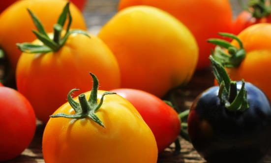 番茄紅素行業市場價格 番茄紅素行業市場產量分析