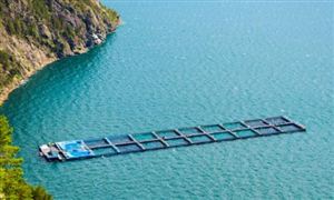 中國海洋環(huán)境分析 海洋環(huán)境監(jiān)測未來發(fā)展趨勢預(yù)測2023