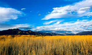 高原特色農業是什么? 高原特色農業行業現狀分析