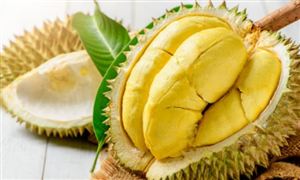 榴蓮市場投資方向 榴蓮行業(yè)市場深度調(diào)研及投資分析
