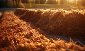 2023生物質能行業發展趨勢及市場現狀分析