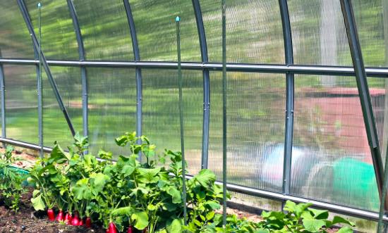 聚碳酸酯(PC)行業(yè)市場需求 聚碳酸酯(PC)行業(yè)供需趨勢分析