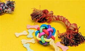 2023寵物衛生用品市場現狀及前景分析