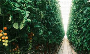 農業高科技園行業市場現狀及前景分析