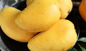 國內(nèi)芒果行業(yè)供需趨勢及市場投資前景