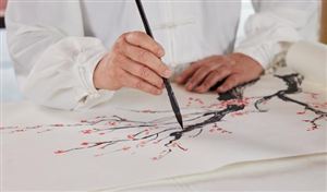 2023年中國老年教育行業市場調研分析