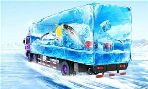 生鮮冷鏈物流行業發展趨勢 生鮮冷鏈物流行業市場調查及投資分析