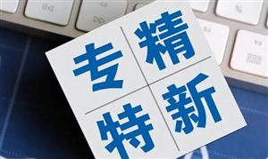 專精特新賦能企業(yè)高質(zhì)量發(fā)展 制造業(yè)專精特新行業(yè)發(fā)展前景規(guī)劃研究2023