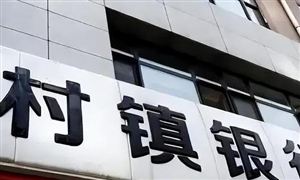 2023村鎮(zhèn)銀行市場運行環(huán)境及投資分析