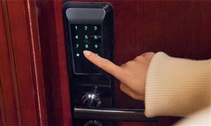 指紋鎖行業市場需求及未來發展前景預測