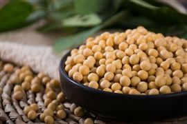 2023全國工業飼料總產量與價格走勢