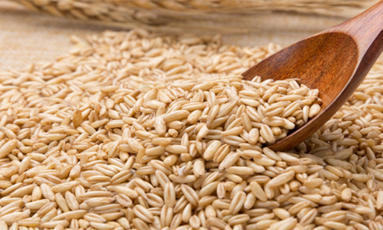 六部門印發(fā)《關(guān)于加快糧食產(chǎn)地烘干能力建設(shè)的意見》 推進糧食烘干設(shè)施裝備規(guī)范建設(shè)