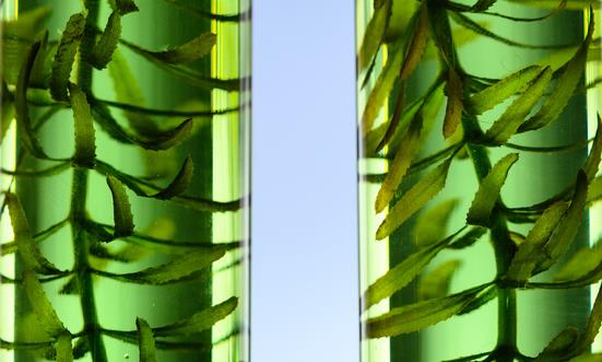 全球及中國單細胞測序行業發展現狀 全球及中國單細胞測序行業投資前景分析