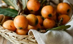 中國枇杷發展現狀 枇杷酒行業市場需求分析